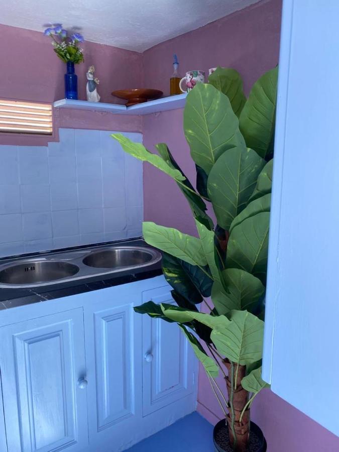 Eterna Primavera, A 40M De La Piscina Natural Punta Mujeres Exterior foto